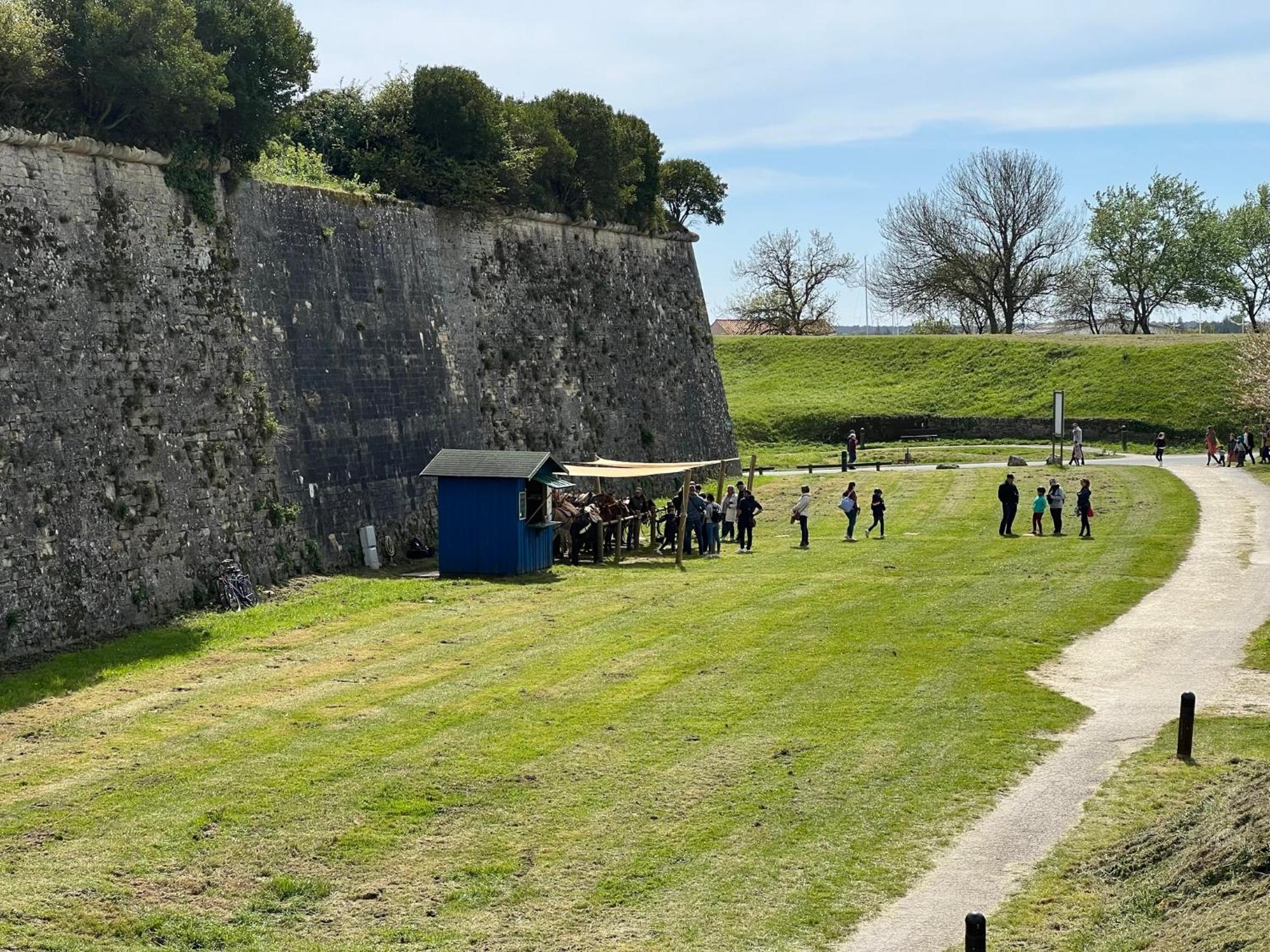 Les Amareyeurs - Ile D'Oleron - Maison Classee 3 Etoiles Avec Piscine - Clim - Velos Le Château-dʼOléron エクステリア 写真
